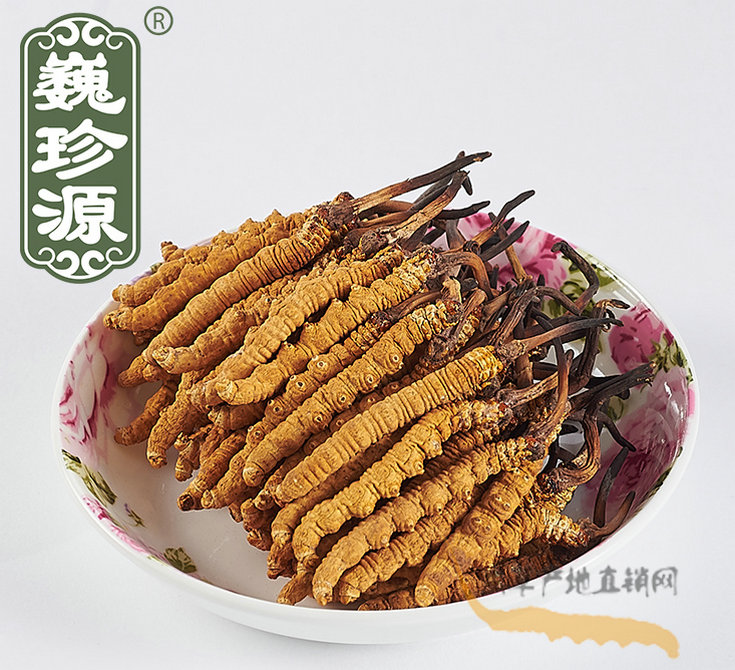 冬蟲夏草是蟲還是草,冬蟲夏草是植物還是動物蟲子,冬蟲夏草與冬蟲草的區別,蟲草與冬蟲夏草有區別什么區別
