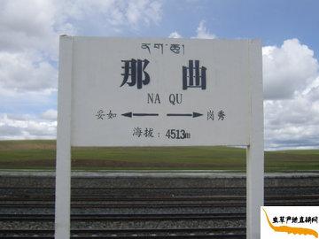 xĲݮa,xݵĮaθ߶4513